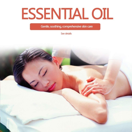 Top 14 100% Pure Therapeutic Grade Essential Oil Set, 10ml - Pack of 14