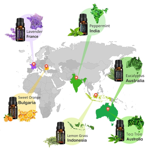 6 Packs 10ml Essential Oils, Therapeutic Grade Aromatherapy Oils
