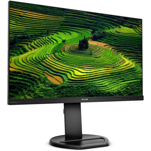 PHILIPS  " B Line 24"" Fhd 60Hz 5Ms Gtg Ips Led Monitor - - (241B8Qjeb)" In Black Support suggested we plug the computer into a different monitor during the reboot and then plug it back into this monitor after it boots