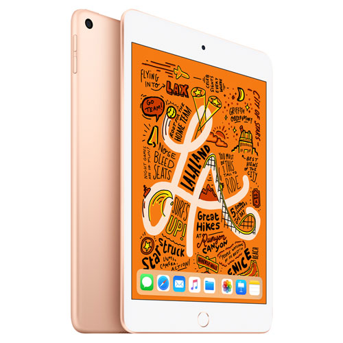 Apple iPad mini 7.9" 256GB with Wi-Fi - Gold