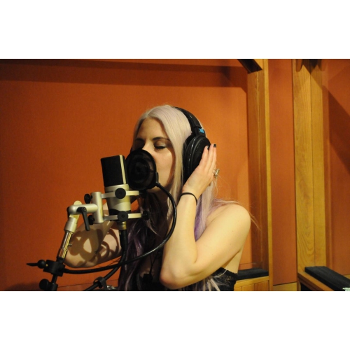 Sennheiser HD 600 - Audiophile Hi-Res Open Back Dynamic Headphone