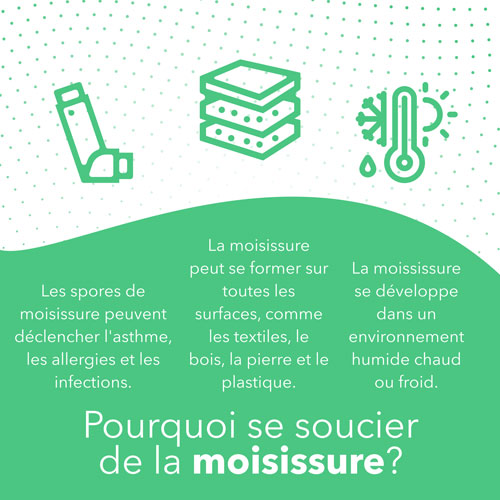 Moniteur de qualité de l'air intérieur Wave Mini d'Airthings avec indicateur de risque de moisissure
