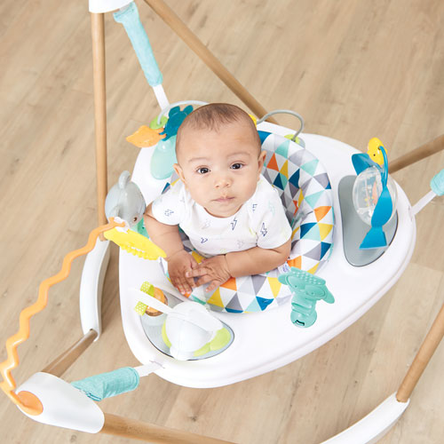 woodland exersaucer