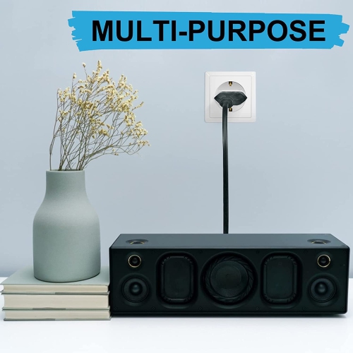 Adaptateur/convertisseur de prise de voyage de Tedlin pour US/au et Europe - Noir - Paquet de 6