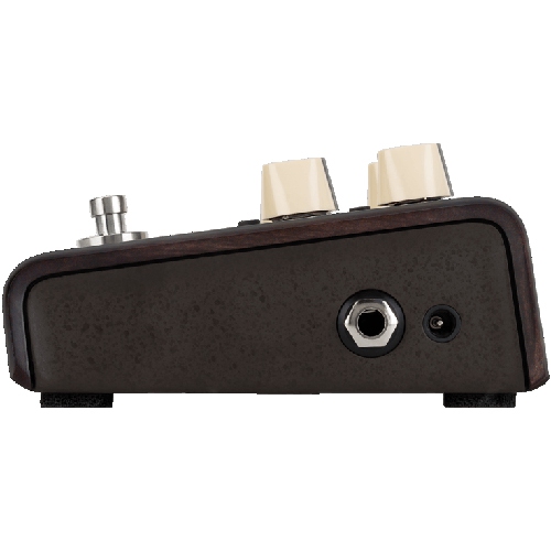 L.R Baggs Align Series Delay Pedal