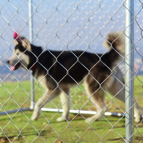 Gymax Large Pet Dog Run House Kennel Shade Cage 7.5' x7.5' Roof Cover Backyard Playpen