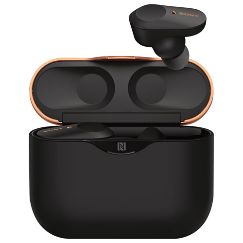 Truly Wireless Headphones (WF-1000XM3 