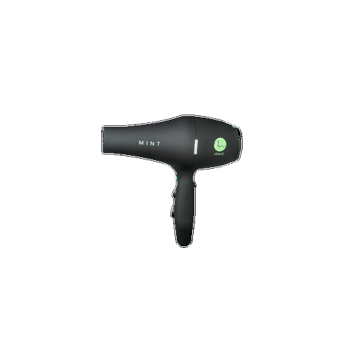 MINT  Ionic Blow Dryer