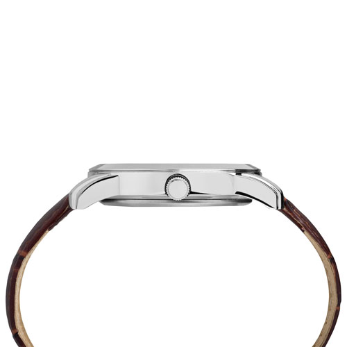 Timex 39mm Men's Casual Watch - Brown/Blue/Silver