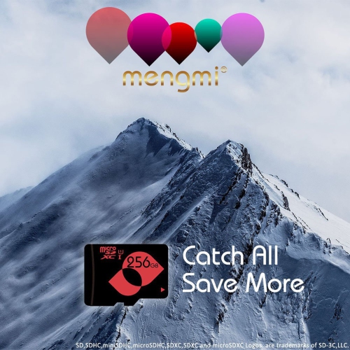 256GB Micro SD Card microSDXC TF Card U1 Class 10 Extreme Memory Card with SD Adapter