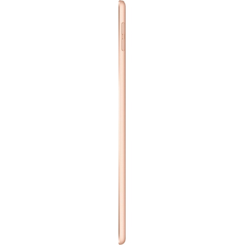 Remis à neuf - iPad Mini 256 Go de 7,9 po d'Apple avec Wi-Fi (5th génération) - Doré