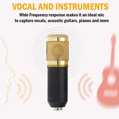 Microphone à condensateur, ensemble de microphone professionnel cardioïde pour l’enregistrement en studio avec support, support et filtre