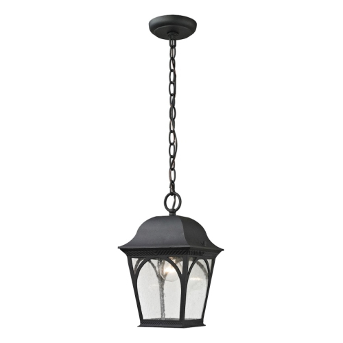 Cape Ann 1 Light Outdoor Pendant Lantern In Matte Textured Black