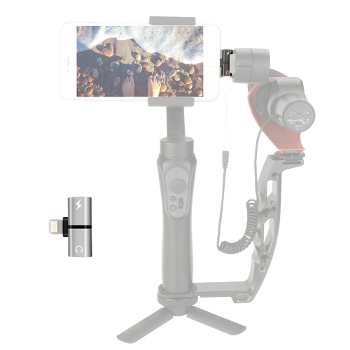 2 in 1 Double Adapter Headphone Jack Converter Splitter Dual Audio Lightning Cable Charger