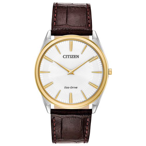 Citizen Stiletto 38mm Men's Dress Watch - Brown/White/Two-Tone | Best Buy  Canada