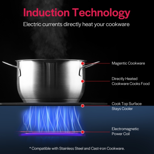 Empava 12" 2-Burner Electric Induction Cooktop 120V - Black