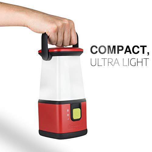 Energizer Camping Lantern Flashlight, Battery Powered LED Lanterns for Camping, Outdoors, Hurricane, Emergency Use, 500