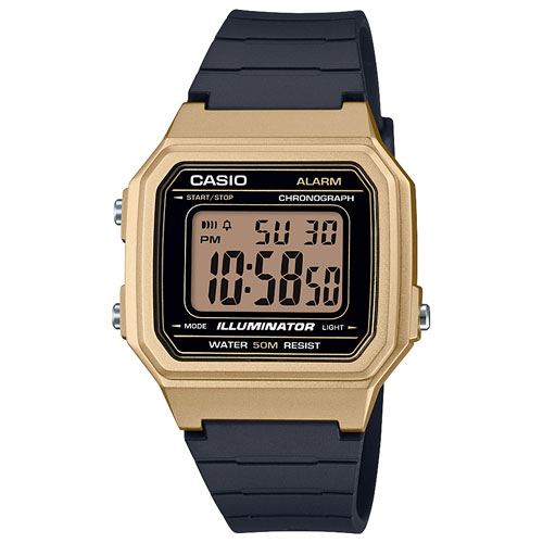 gold casio watch price