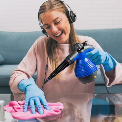 Costway Multifunction Portable Steamer Household Steam Cleaner 1050W W/Attachments Blue