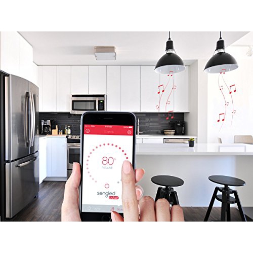 Sengled Pulse Dimmable LED Light with Wireless Bluetooth Speakers, Powered by JBL, Pewter