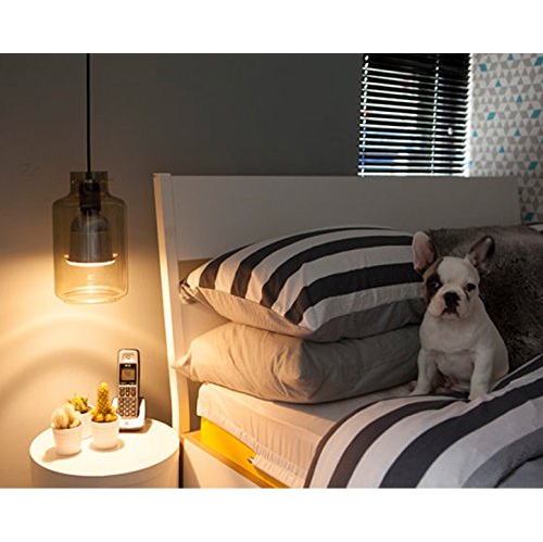 Sengled Pulse Dimmable LED Light with Wireless Bluetooth Speakers, Powered by JBL, Pewter