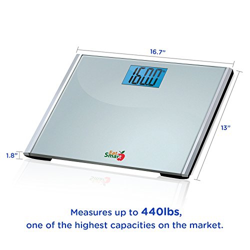 Bathroom Scale With Remote Display