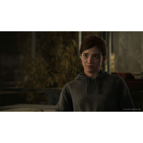 Image 3 of 10.. The Last of Us Part II