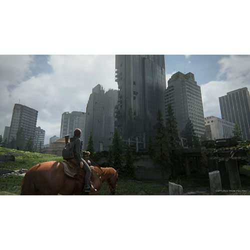 Image 4 of 10.. The Last of Us Part II