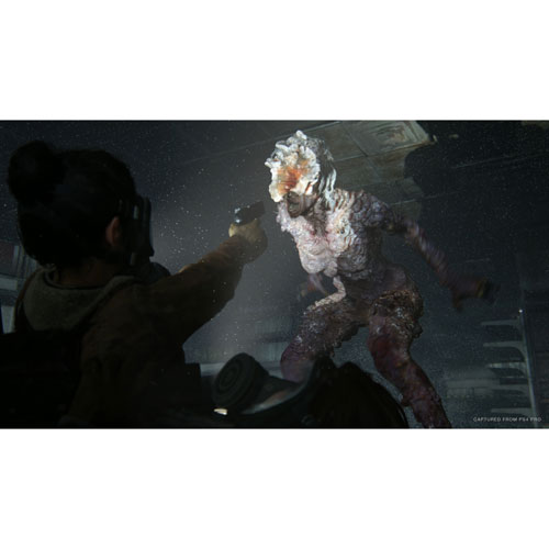 Image 5 of 10.. The Last of Us Part II