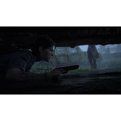 Image 10 of 10.. The Last of Us Part II