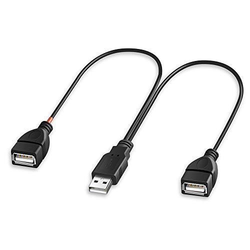 usb cord with 2 male ends