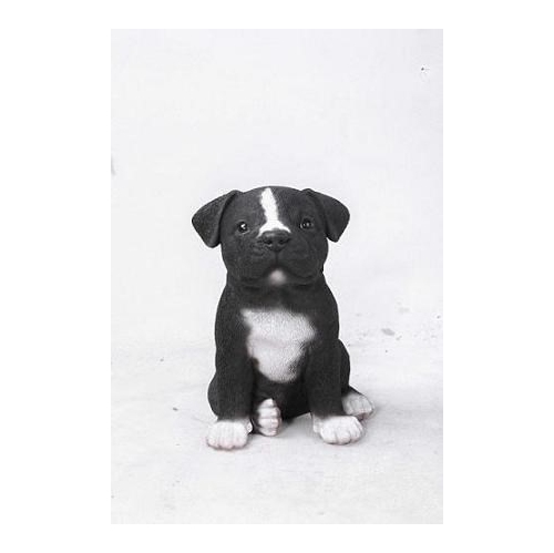 HI-LINE GIFT LTD  Hi-Line Gifts Ltd Pet Pals- Staffordshire Pitbull Pup