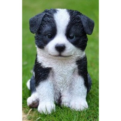 Border collie gifts & hot sale products