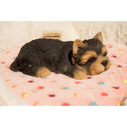 Hi-Line Gifts Ltd Pet Pals- Yorkshire Terrier Puppy Sleeping