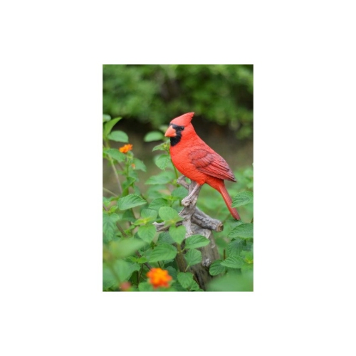 HI-LINE GIFT LTD  Hi-Line Gifts Ltd Cardinal On Branch