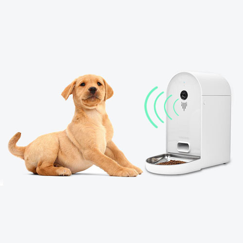 pet camera afterpay