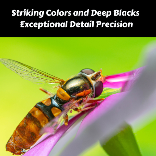 PRINTOXE® 6510 Compatible Set+BK for Xerox 6510 - 5 Toner Cartridges - High Yield - for Xerox WrokCentre 6515 6515n 6515dn 6515dni; Phaser 6510 6510n