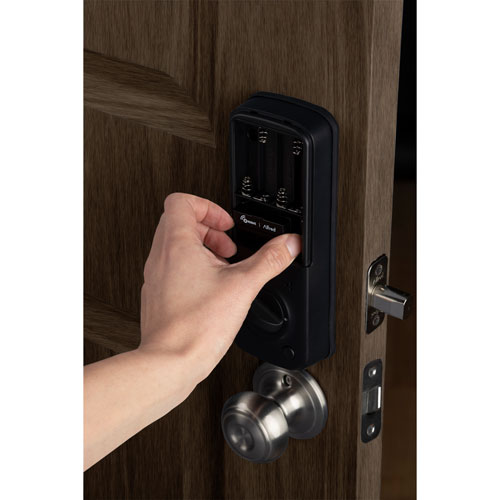 Module Z-Wave Plus pour DB2 d'Alfred