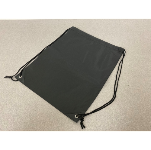 Sèche-cheveux rechargeable Divine Styler Pro