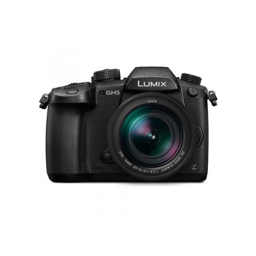 Stoffelijk overschot zuiger reguleren Panasonic Lumix DC-GH5L Mirrorless Digital Camera with Leica DG  Vario-Elmarit 12-60mm Lens f/2.8-4. | Best Buy Canada