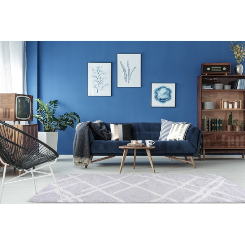 Ladole Rugs Shaggy Tangier Turkish Soft Indoor Area Rug Carpet in Light Gray White, 8x11