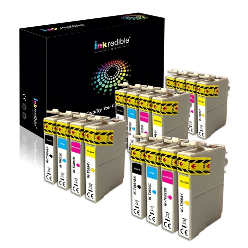 epson 69 ink best buy