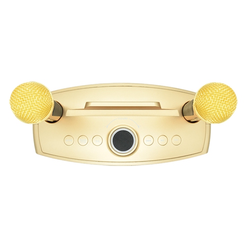 axGear Bluetooth Family KTV Portable Speaker Smart Phone Karaoke with 2 Wireless Mic