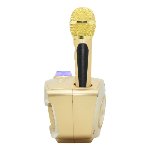 axGear Bluetooth Family KTV Portable Speaker Smart Phone Karaoke with 2 Wireless Mic