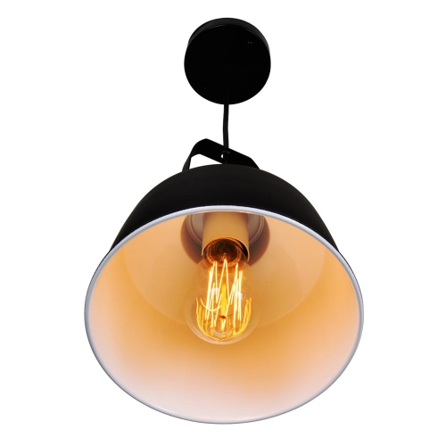 Elisa 1 Light Down Pendant With Black Finish