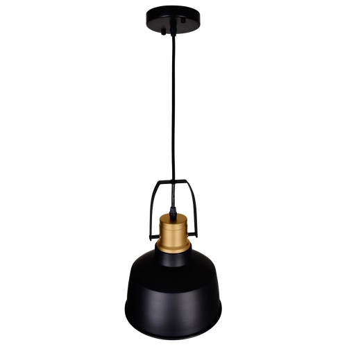 Elisa 1 Light Down Pendant With Black Finish