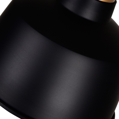 Elisa 1 Light Down Pendant With Black Finish