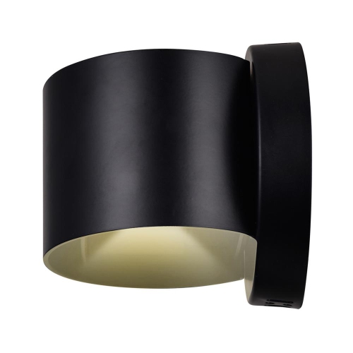 Lilliana LED Wall Sconce With Black Finish