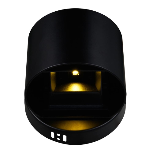 Lilliana LED Wall Sconce With Black Finish