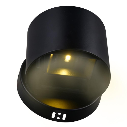 Lilliana LED Wall Sconce With Black Finish